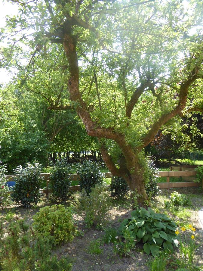 Grossefehn Ferienwohnung Elise Im Gulfhof Am Kanal מראה חיצוני תמונה